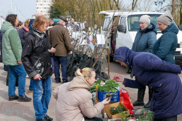 Городская ярмарка в Витебске откроется 20 сентября