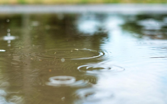 Узнали, как специалисты ГП «Гордормост» профилактируют и ремонтируют ливневки в Витебске