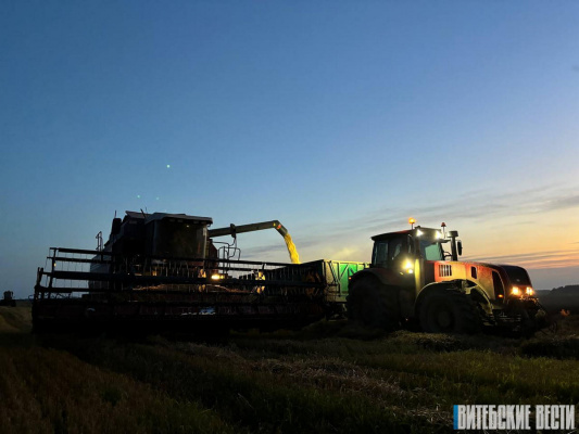 На утро 1 сентября в Витебской области намолочено 789,8 тыс. т зерна
