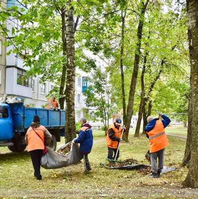 В горисполкоме подвели итоги наведения порядка на земле в Витебске