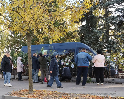 Фотофакт. В Витебске в разгаре сезон осенних сельхозярмарок