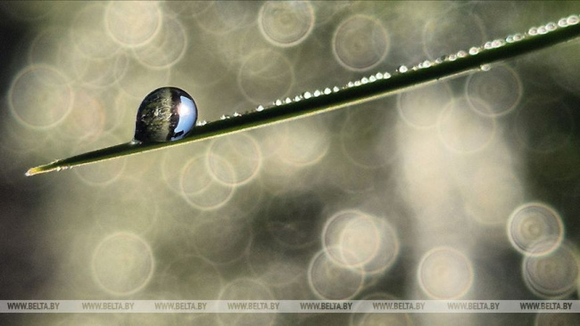 Белгидромет: начало недели обещает быть солнечным и теплым