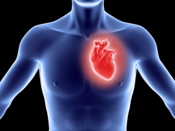 Акция «Скажем нет инфаркту миокарда!» пройдет 18 июля в Витебске