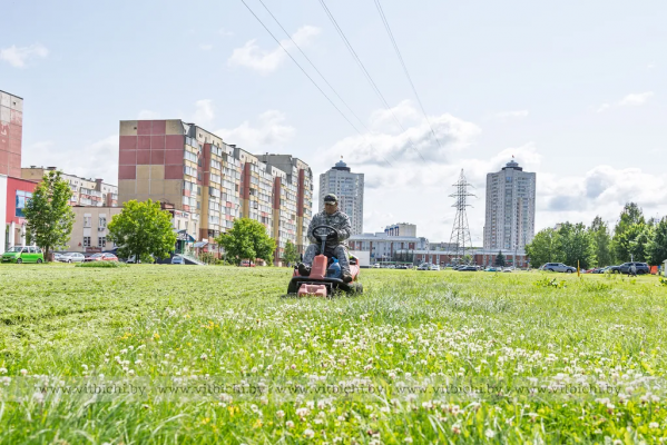 За вторым покосом — третий. Как в Витебске ЖКХ организует работу в экстраординарных погодных условиях этого года?