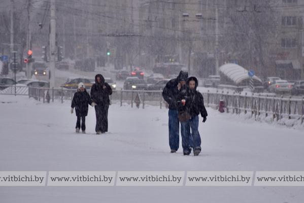 35 см снега за ночь: как циклон «Леони» проявляет себя на Витебщине