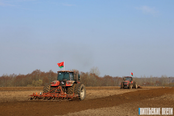 На утро 30 марта в Витебской области посеяно 10,8 тыс. га ранних яровых культур