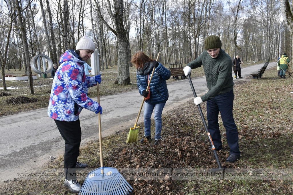 Около 100 человек в Витебске приняли участие в благоустройстве парка имени Советской Армии (Мазурино)