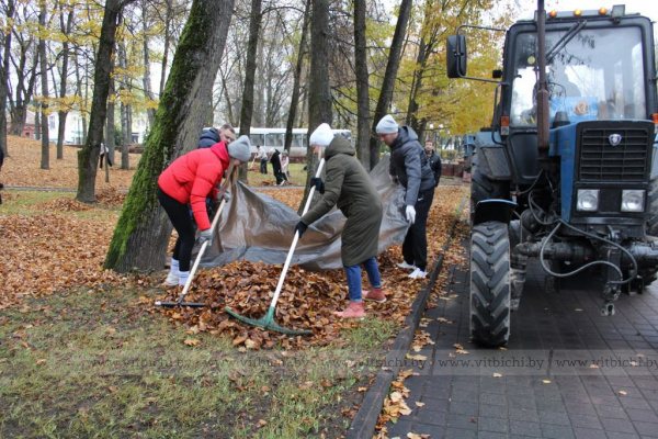 На республиканском субботнике Витебская область заработала свыше 1,7 миллиона рублей