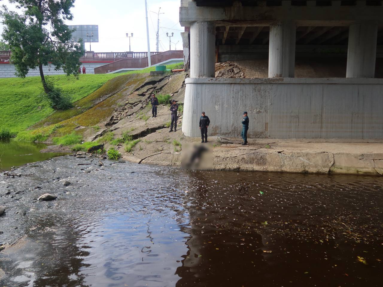 Витебские спасатели вытащили из реки Витьба тело мужчины