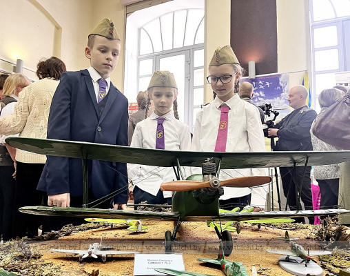 Фрагменты самолета Гастелло и другие уникальные находки можно увидеть на выставке в Витебске