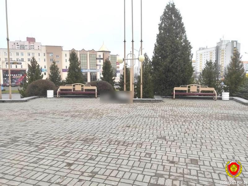 В Витебске у Ледового дворца нашли тело мужчины – личность опознали по отпечаткам