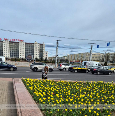 Фотофакт: на площади Победы в Витебске распускаются тюльпаны