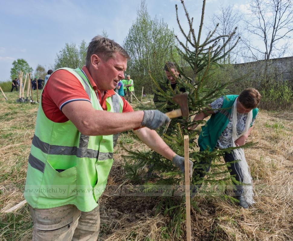 Возле Мемориального комплекса «5-й полк» заложили аллею Памяти