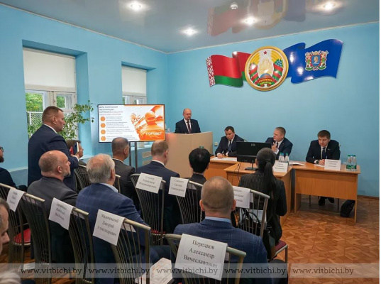 Замена проводки и подключение к сетям: «Горсвет» Витебска расширит перечень платных услуг