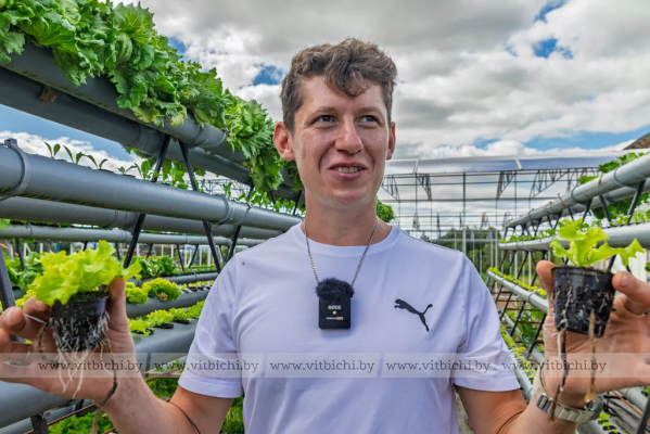 «Гидропонной фермой управляю с телефона». Витебчанин выращивает зелень и цветы без почвы