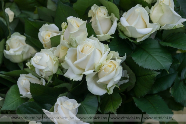 Развивают таланты: как в витебской семье Конопелько растут футболист, художник и будущий изобретатель