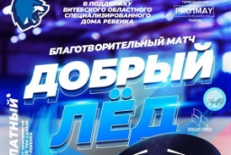 В Витебске пройдёт хоккейный матч в поддержку Витебского областного специализированного Дома ребенка