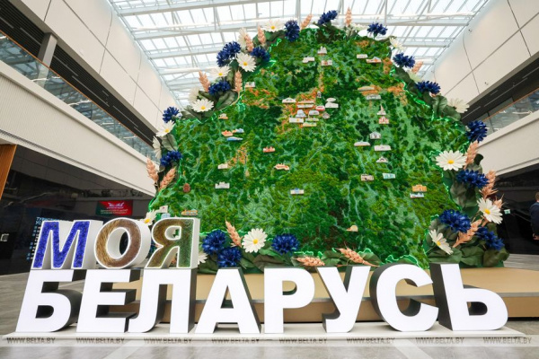 VR-фермы, BulbaTech, гоночный грузовик. Чем удивляет выставка "Моя Беларусь"?