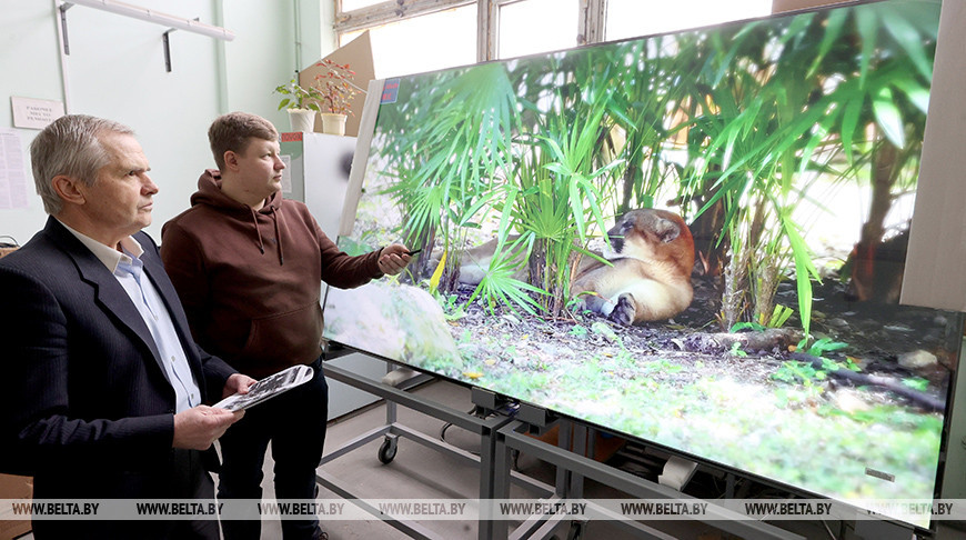 В Витебске начали производить одни из первых в Беларуси 100-дюймовые телевизоры