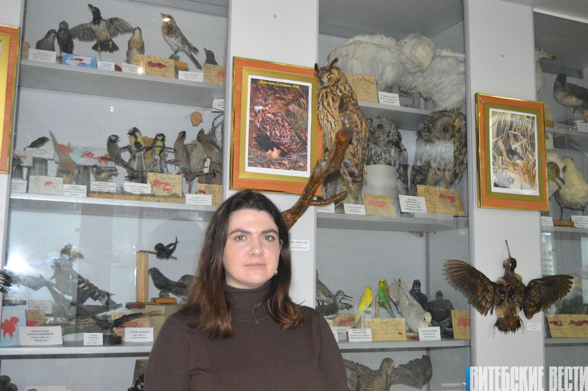 Проснулись медведи. Как аномально теплая зима отражается на животных, птицах и растениях в Витебской области?