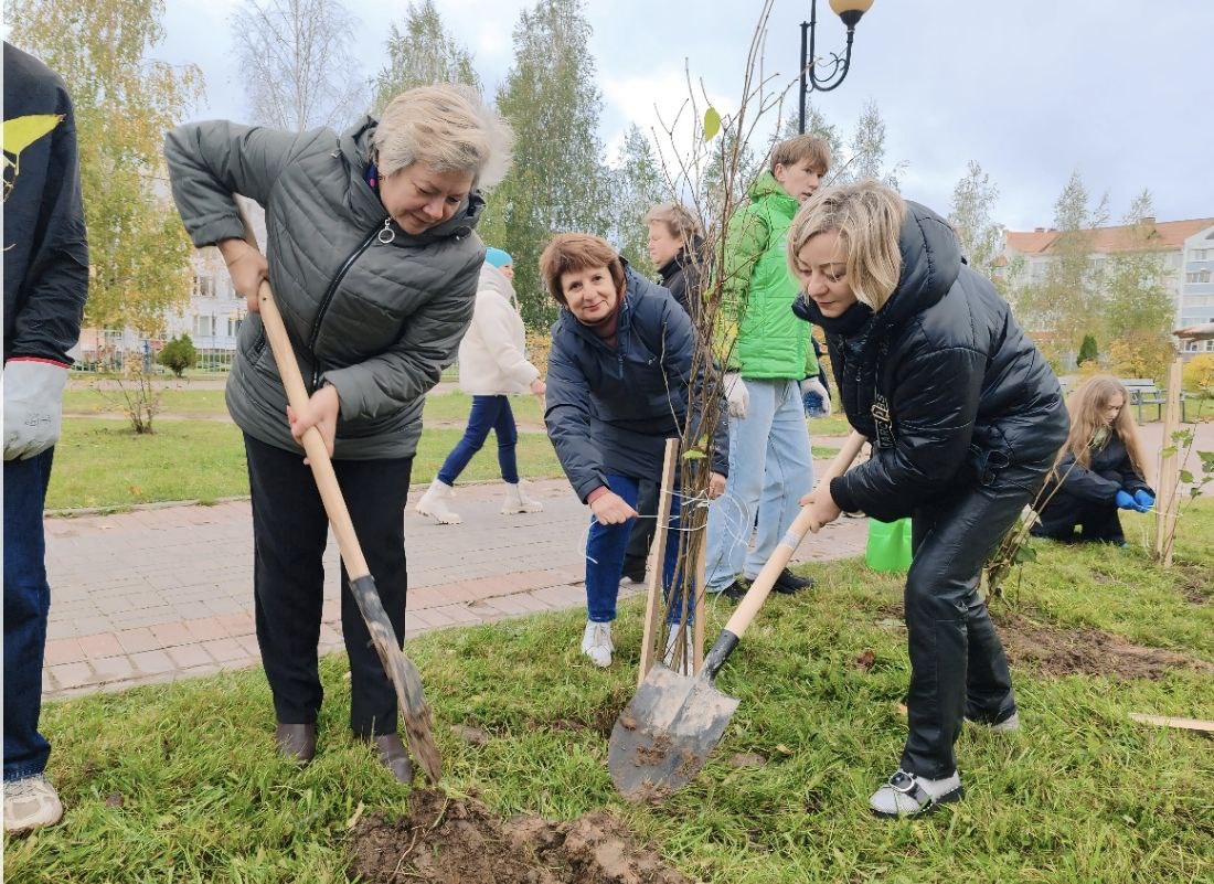 В микрорайоне Билево, на бульваре возле средней школы № 46 г. Витебска имени И. Х.Баграмяна, в рамках городского субботника обновили сиреневую «Аллею мира»