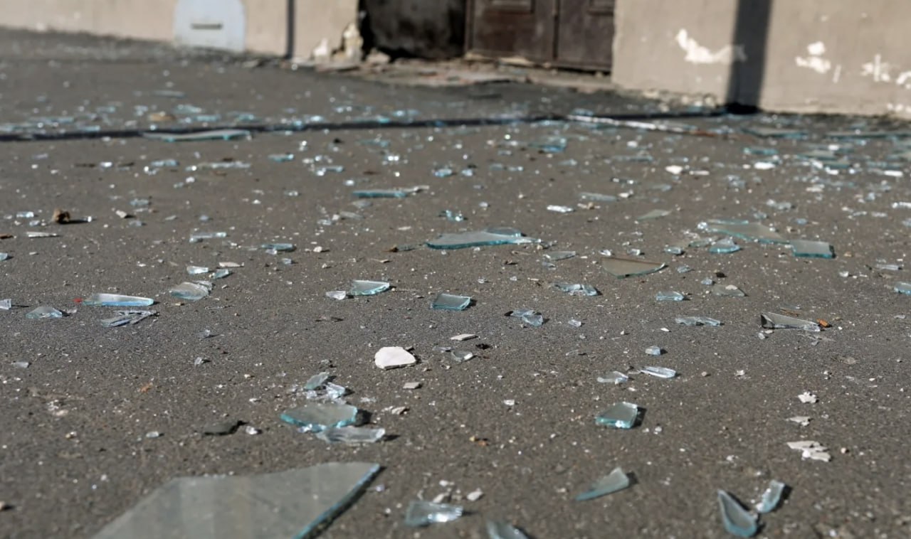 Чтобы произвести впечатление на девушку, витебчанин сломал остановку и залез на дерево