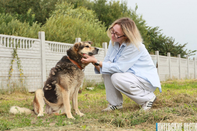 Витебский приют для бездомных животных «Добрик» отметил свой день рождения