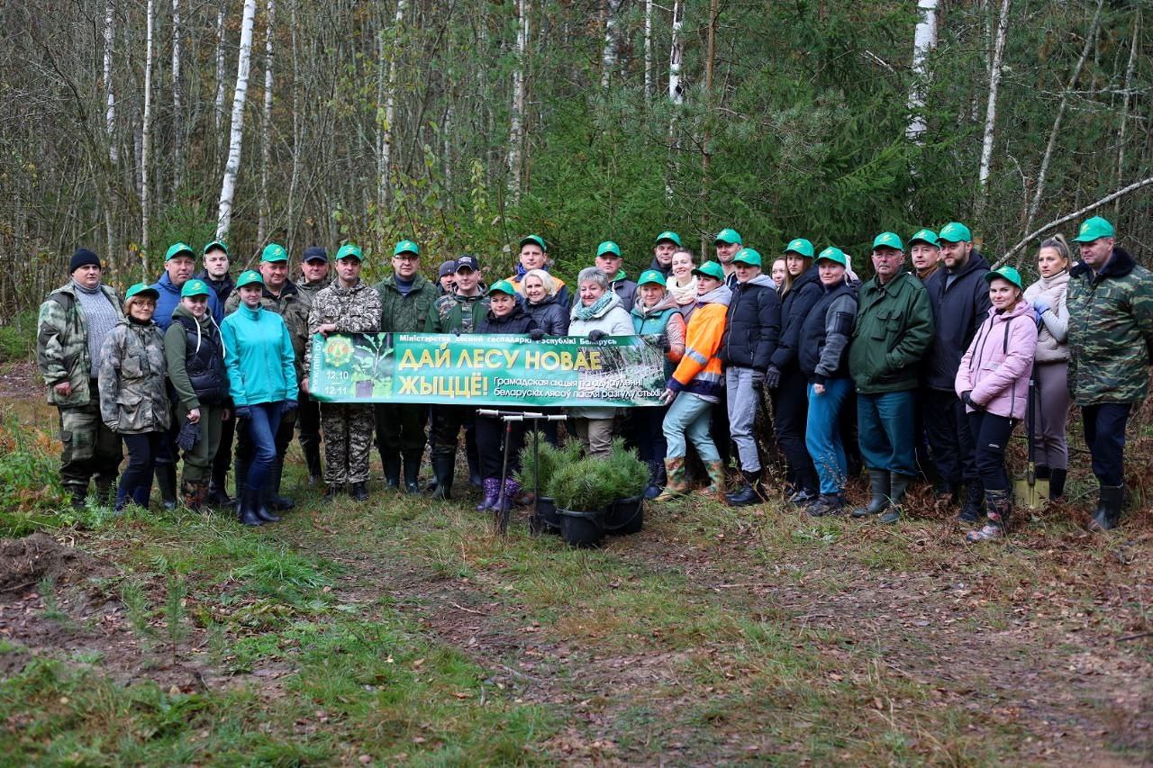 «Дай лесу новае жыццё»: В Витебском районе присоединились к республиканской добровольной акции