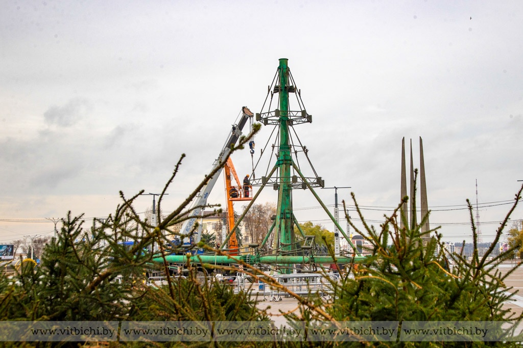 Главную ёлку Витебщины соберут из почти 200 живых елочек