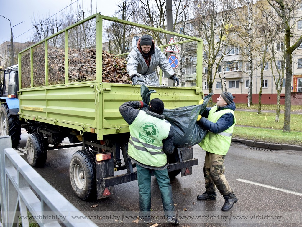 Месячник по благоустройству в Витебске завершается 20 ноября
